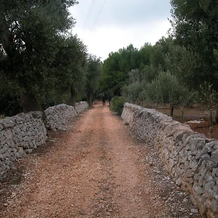 Bed & Breakfast Masseria Trotta Fasano