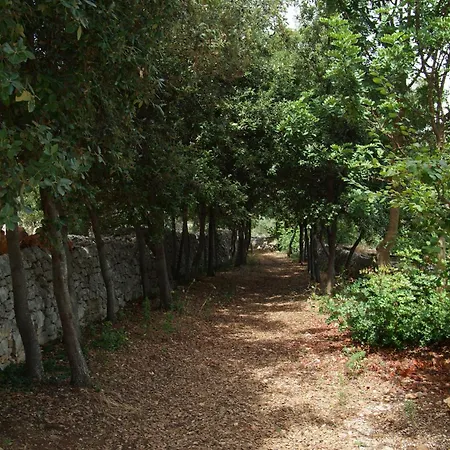 Masseria Trotta Bed & Breakfast Fasano