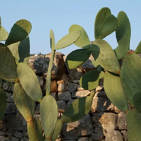 Masseria Trotta