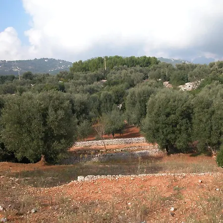 Bed & Breakfast Masseria Trotta 2*