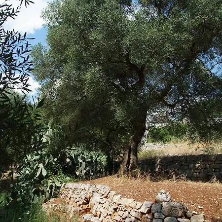 Masseria Trotta