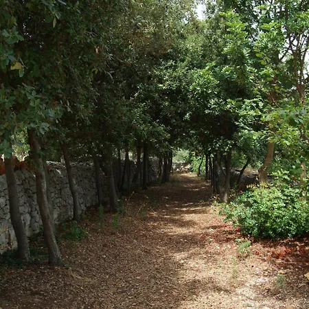 Bed & Breakfast Masseria Trotta 4*